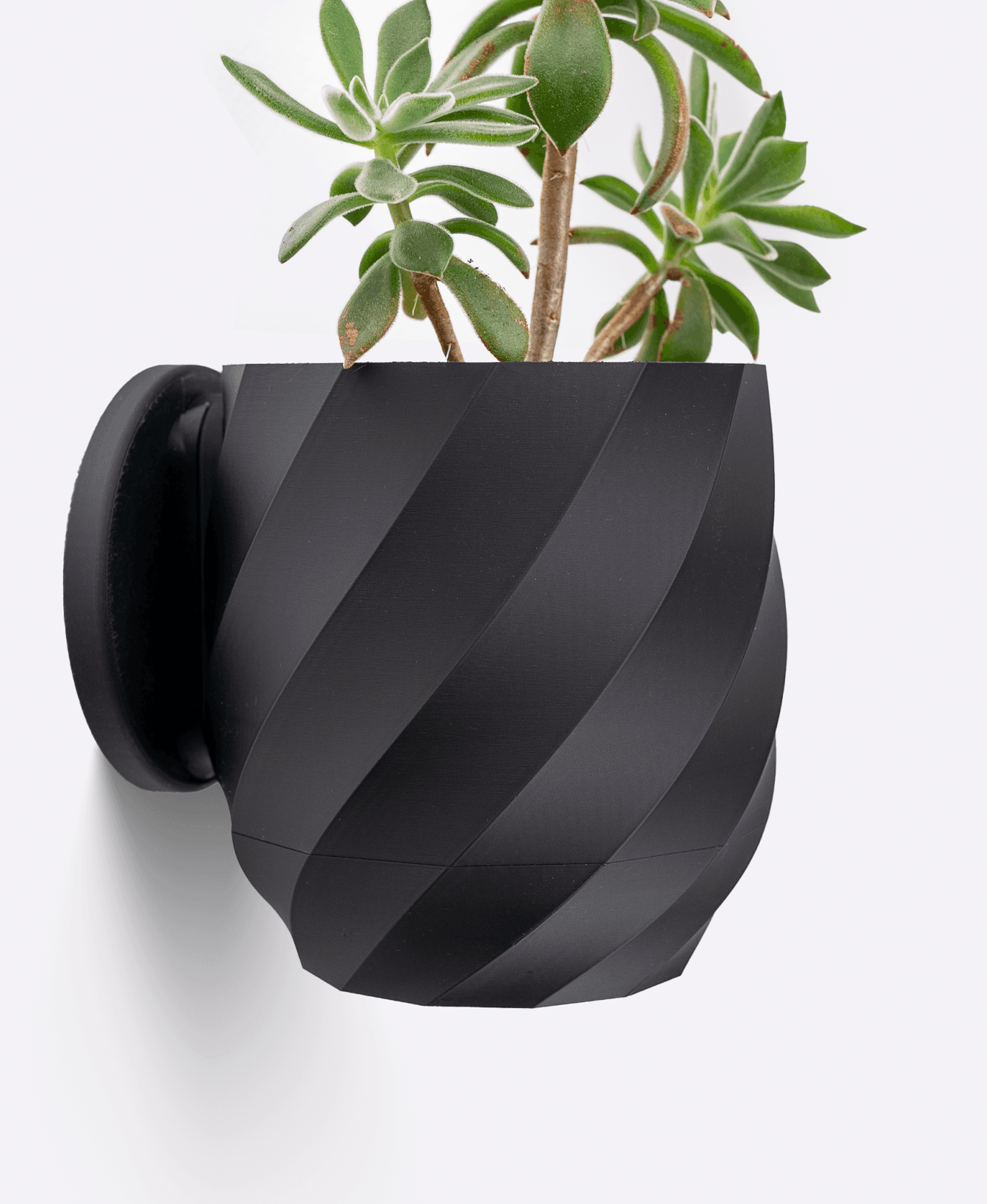 Twisted Planter — Large Table Top