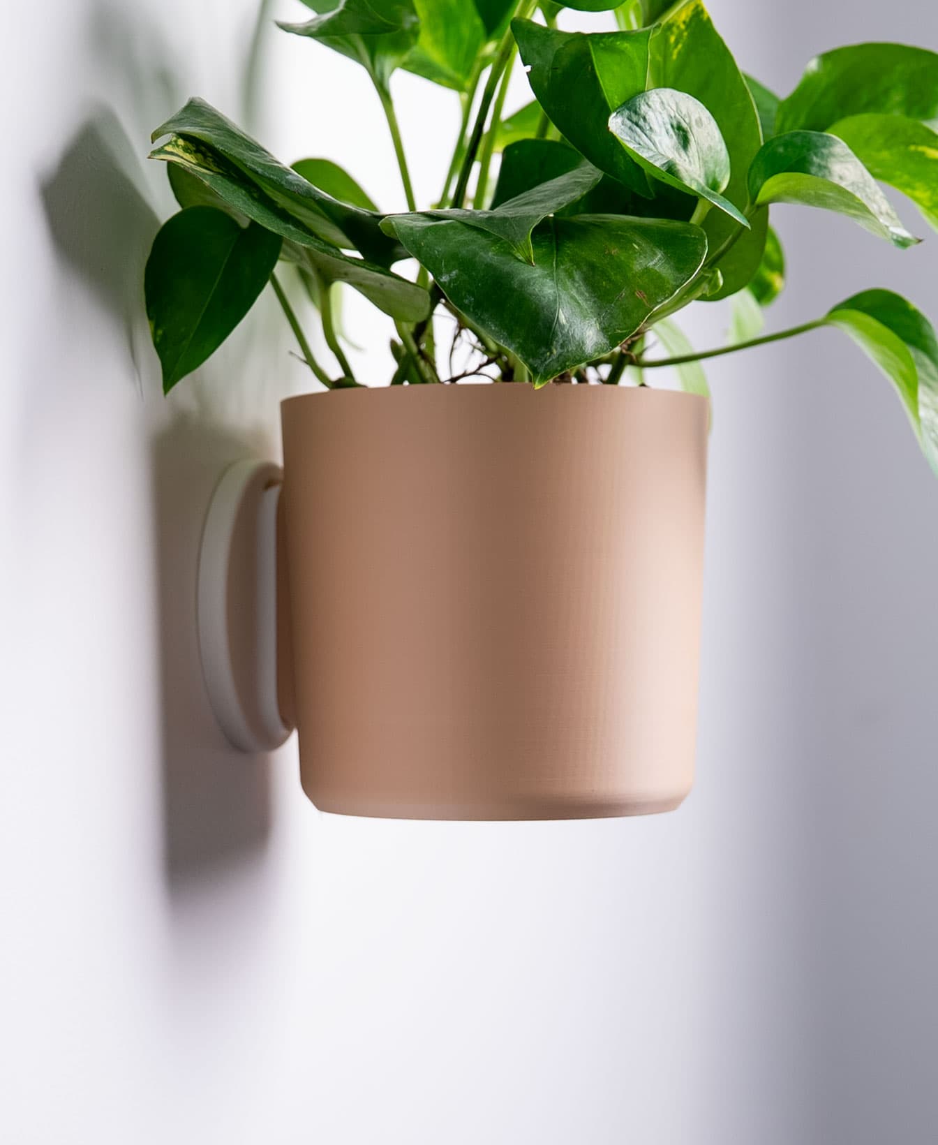 LG03 Planter — Large Table Top